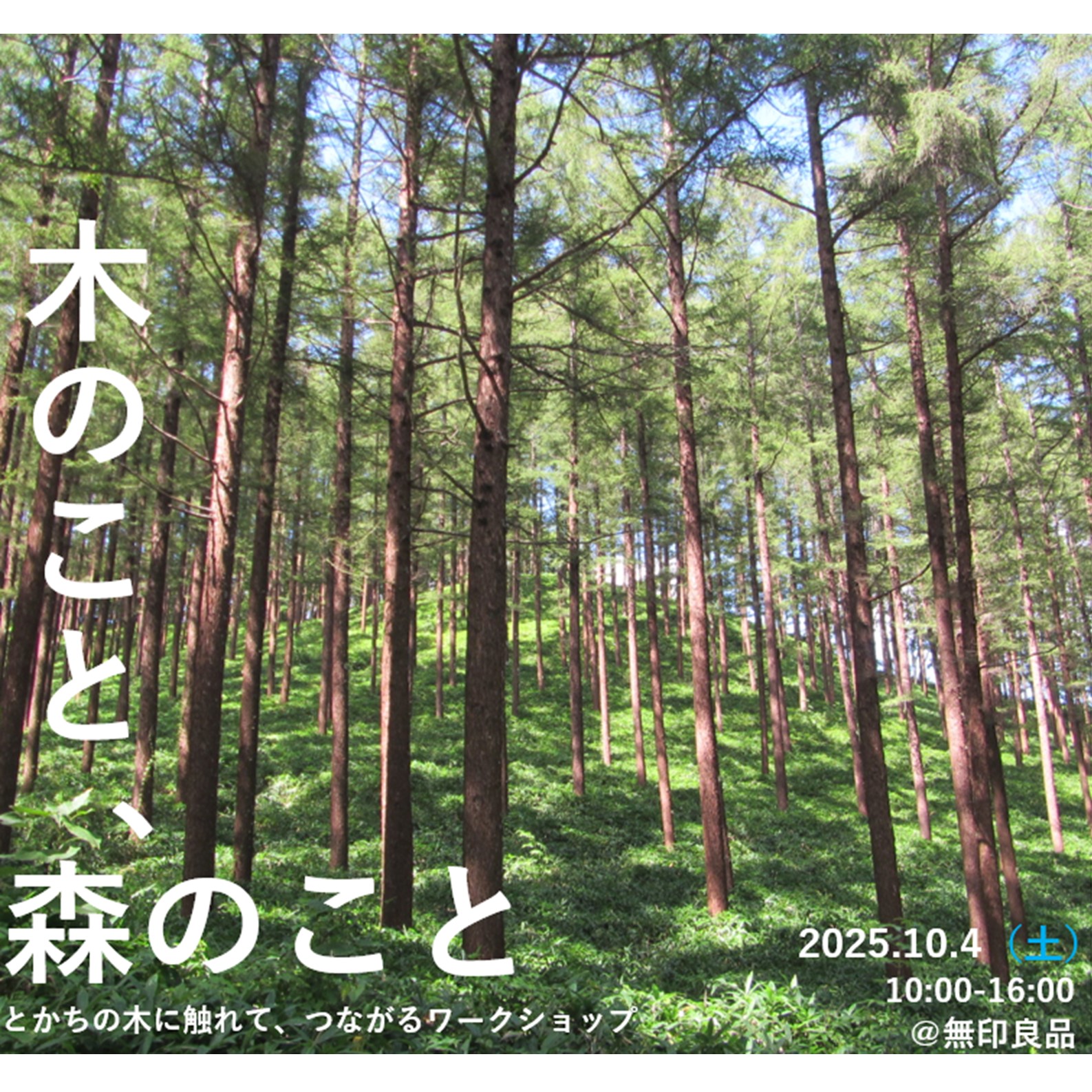 木育イベント「木のこと、森のこと」出店